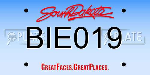 BIE019 South Dakota License Plate