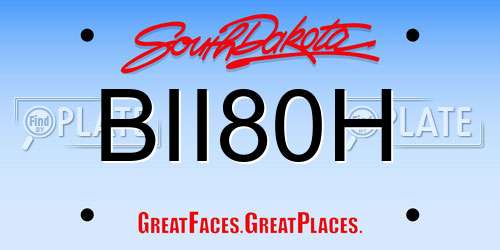 BII80H South Dakota License Plate