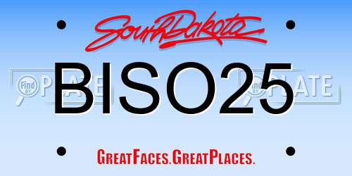 BISO25 South Dakota License Plate