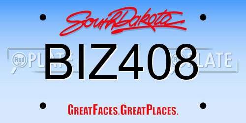 BIZ408 South Dakota License Plate