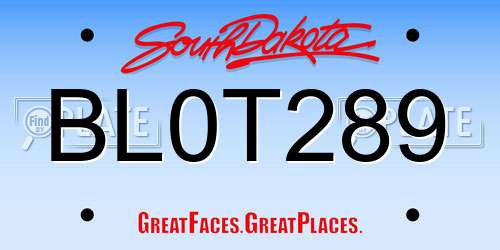BL0T289 South Dakota License Plate