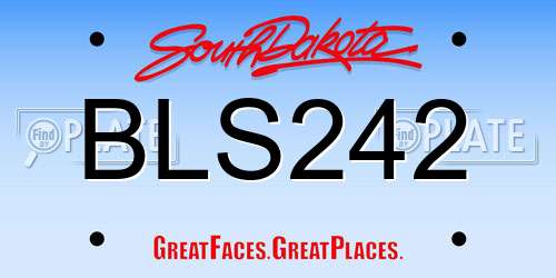 BLS242 South Dakota License Plate