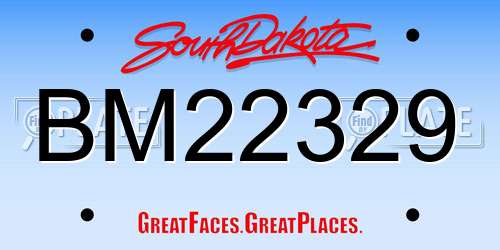 BM22329 South Dakota License Plate