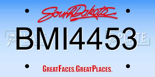BMI4453 South Dakota License Plate