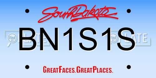 BN1S1S South Dakota License Plate