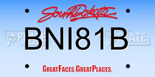 BNI81B South Dakota License Plate