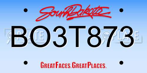 BO3T873 South Dakota License Plate