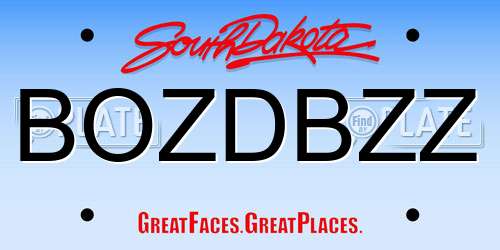 BOZDBZZ South Dakota License Plate