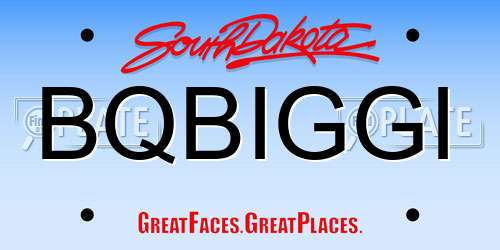 BQBIGGI South Dakota License Plate