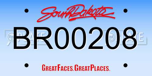 BR00208 South Dakota License Plate