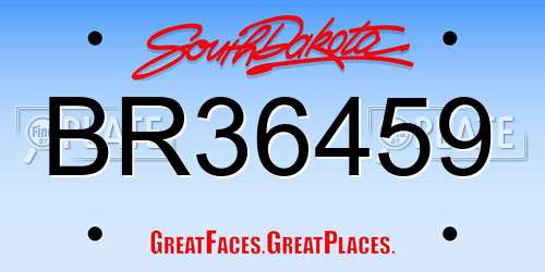 BR36459 South Dakota License Plate