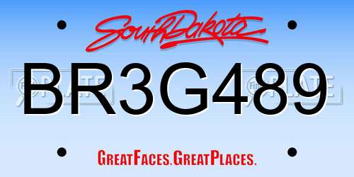 BR3G489 South Dakota License Plate