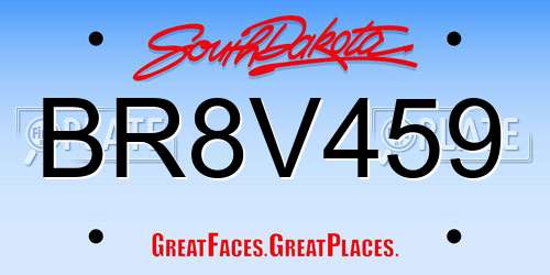 BR8V459 South Dakota License Plate