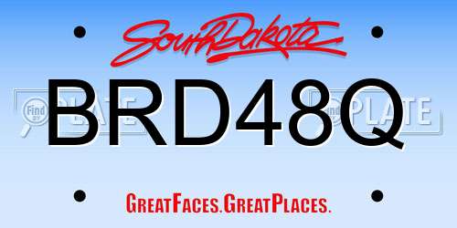 BRD48Q South Dakota License Plate