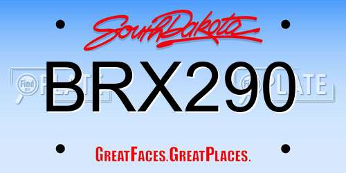 BRX290 South Dakota License Plate