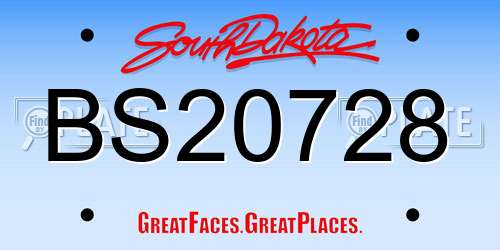 BS20728 South Dakota License Plate