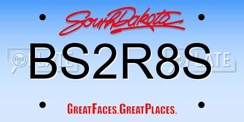 BS2R8S South Dakota License Plate