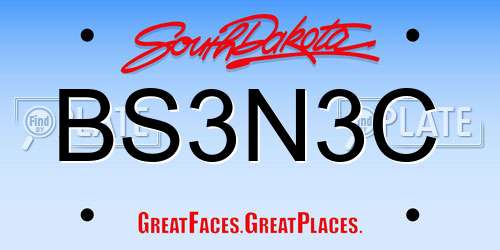 BS3N3C South Dakota License Plate