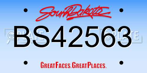 BS42563 South Dakota License Plate