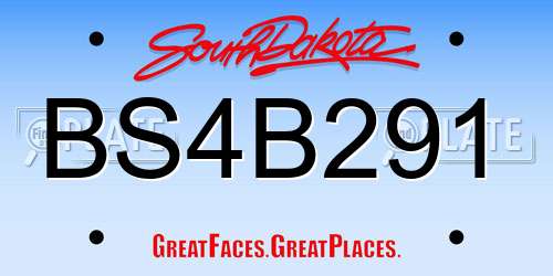 BS4B291 South Dakota License Plate