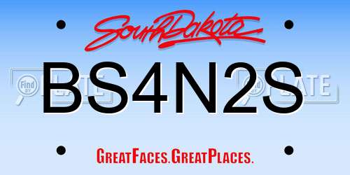 BS4N2S South Dakota License Plate