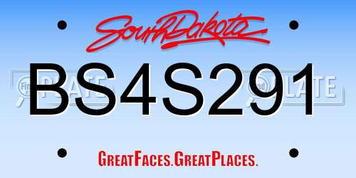 BS4S291 South Dakota License Plate