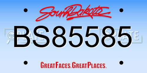 BS85585 South Dakota License Plate