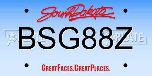 BSG88Z South Dakota License Plate