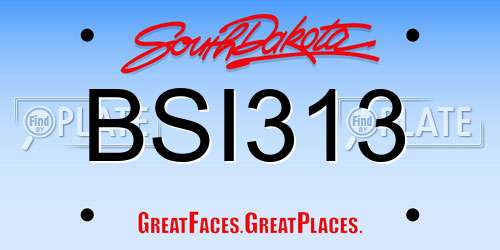 BSI313 South Dakota License Plate