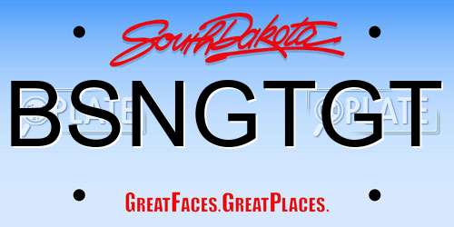 BSNGTGT South Dakota License Plate