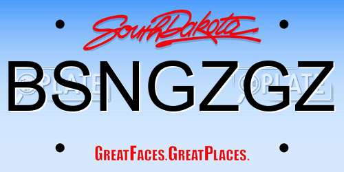 BSNGZGZ South Dakota License Plate