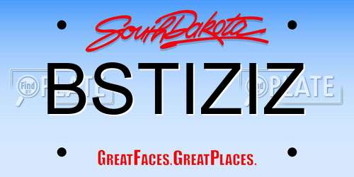 BSTIZIZ South Dakota License Plate