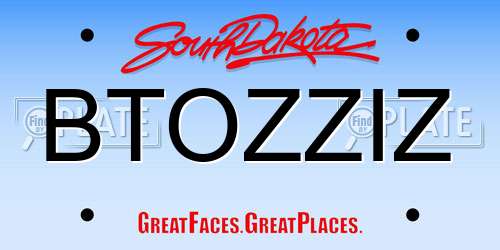BTOZZIZ South Dakota License Plate