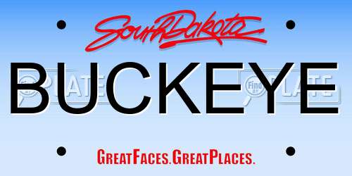 BUCKEYE South Dakota License Plate