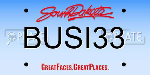 BUSI33 South Dakota License Plate