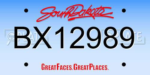 BX12989 South Dakota License Plate