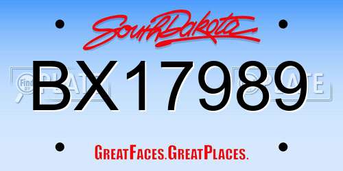 BX17989 South Dakota License Plate
