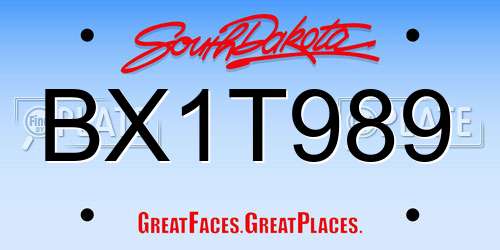 BX1T989 South Dakota License Plate