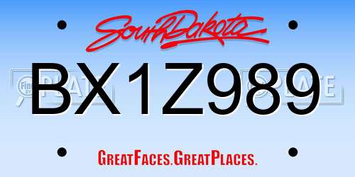 BX1Z989 South Dakota License Plate