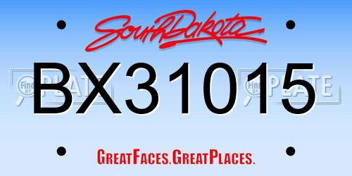 BX31015 South Dakota License Plate