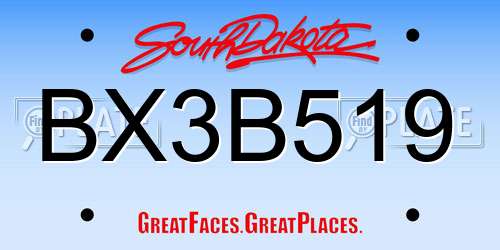 BX3B519 South Dakota License Plate