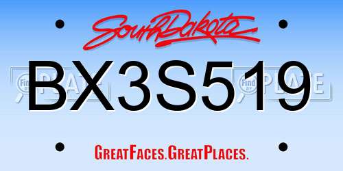 BX3S519 South Dakota License Plate