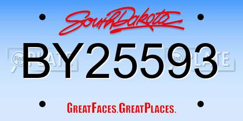 BY25593 South Dakota License Plate
