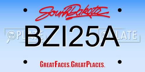 BZI25A South Dakota License Plate
