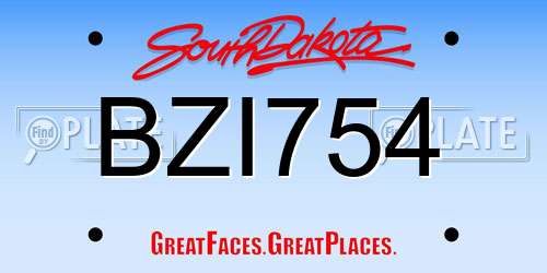 BZI754 South Dakota License Plate