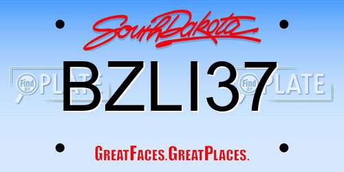 BZLI37 South Dakota License Plate
