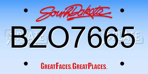 BZO7665 South Dakota License Plate