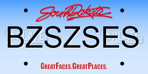 BZSZSES South Dakota License Plate
