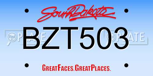 BZT503 South Dakota License Plate