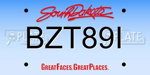 BZT89I South Dakota License Plate